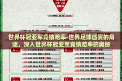 世界杯冠亚军竞猜赔率-世界足球盛宴的角逐，深入世界杯冠亚军竞猜赔率的奥秘