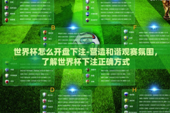 世界杯怎么开盘下注-营造和谐观赛氛围，了解世界杯下注正确方式