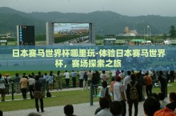 日本赛马世界杯哪里玩-体验日本赛马世界杯，赛场探索之旅