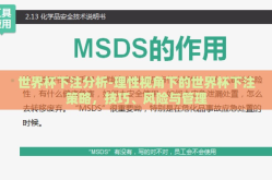 世界杯下注分析-理性视角下的世界杯下注策略，技巧、风险与管理