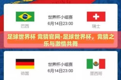 足球世界杯 竞猜官网-足球世界杯，竞猜之乐与激情共舞