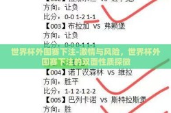 世界杯外围赛下注-激情与风险，世界杯外围赛下注的双面性质探微