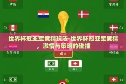 世界杯冠亚军竞猜玩法-世界杯冠亚军竞猜，激情与策略的碰撞