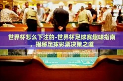 世界杯怎么下注的-世界杯足球赛趣味指南，揭秘足球彩票决策之道