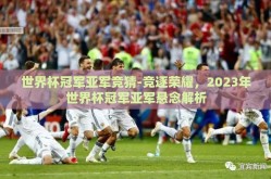 世界杯冠军亚军竞猜-竞逐荣耀，2023年世界杯冠军亚军悬念解析