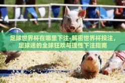 足球世界杯在哪里下注-解密世界杯投注，足球迷的全球狂欢与理性下注指南