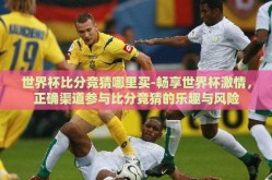 世界杯比分竞猜哪里买-畅享世界杯激情，正确渠道参与比分竞猜的乐趣与风险