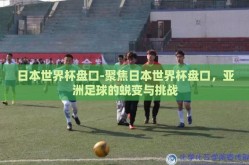 日本世界杯盘口-聚焦日本世界杯盘口，亚洲足球的蜕变与挑战