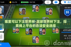 哪里可以下注世界杯-足球世界杯下注，探索线上平台的合法安全选择