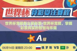 世界杯竞猜怎么买彩票-世界杯竞猜，掌握彩票购买的智慧与乐趣