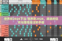 世界杯2026下注-世界杯2026，球迷的狂欢与理性投注的平衡
