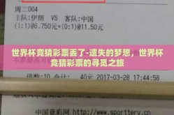 世界杯竞猜彩票丢了-遗失的梦想，世界杯竞猜彩票的寻觅之旅