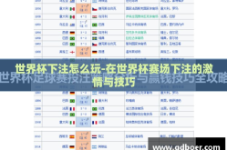 世界杯下注怎么玩-在世界杯赛场下注的激情与技巧