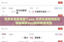 世界杯竞猜用哪个app-世界杯激情猜胜光，揭秘哪款App助您精准竞猜