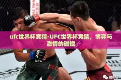 ufc世界杯竞猜-UFC世界杯竞猜，博弈与激情的碰撞