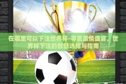 在哪里可以下注世界杯-寻觅激情盛宴，世界杯下注的智慧选择与指南