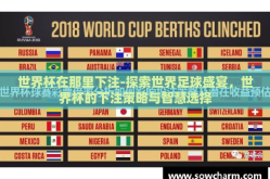 世界杯在那里下注-探索世界足球盛宴，世界杯的下注策略与智慧选择