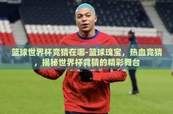篮球世界杯竞猜在哪-篮球瑰宝，热血竞猜，揭秘世界杯竞猜的精彩舞台