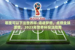 哪里可以下注世界杯-追逐梦想，点燃全球激情，2023年世界杯投注指南