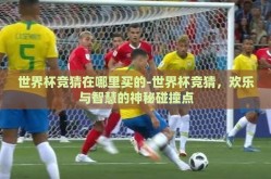 世界杯竞猜在哪里买的-世界杯竞猜，欢乐与智慧的神秘碰撞点