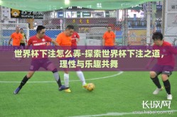 世界杯下注怎么弄-探索世界杯下注之道，理性与乐趣共舞