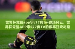世界杯竞猜app宇c77典tv-球场风云，世界杯竞猜APP宇C77典TV的数字狂欢与趣味挑战