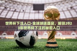 世界杯下注入口-全球球迷盛宴，解锁2023年世界杯下注的秘密入口