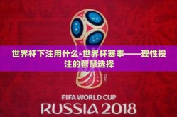 世界杯下注用什么-世界杯赛事——理性投注的智慧选择