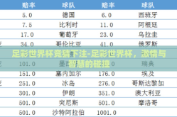 足彩世界杯竞猜下注-足彩世界杯，激情与智慧的碰撞