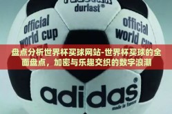 盘点分析世界杯买球网站-世界杯买球的全面盘点，加密与乐趣交织的数字浪潮
