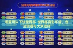 哪里可以下注世界杯-世界杯竞彩乐趣，合法渠道与大众选择