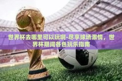 世界杯去哪里可以玩啊-尽享球场激情，世界杯期间各色玩乐指南