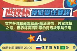 世界杯竞猜彩票结果-挥洒激情，共赏竞技之巅，世界杯竞猜彩票的背后故事与乐趣