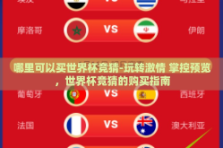 哪里可以买世界杯竞猜-玩转激情 掌控预览，世界杯竞猜的购买指南
