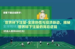 世界杯下注量-全球热情与经济脉动，揭秘世界杯下注量的背后逻辑