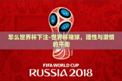 怎么世界杯下注-世界杯赌球，理性与激情的平衡