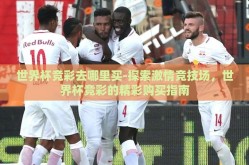 世界杯竞彩去哪里买-探索激情竞技场，世界杯竞彩的精彩购买指南