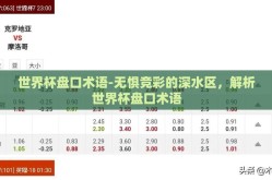 世界杯盘口术语-无惧竞彩的深水区，解析世界杯盘口术语