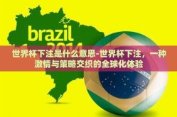 世界杯下注是什么意思-世界杯下注，一种激情与策略交织的全球化体验