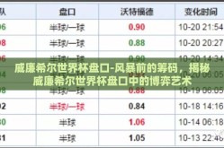 威廉希尔世界杯盘口-风暴前的筹码，揭秘威廉希尔世界杯盘口中的博弈艺术