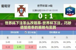世界杯下注怎么改赔率-世界杯下注，巧妙调整赔率的策略与实践