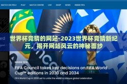 世界杯竞猜的网站-2023世界杯竞猜新纪元，揭开网站风云的神秘面纱