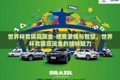 世界杯竞猜赢现金-感受激情与智慧，世界杯竞猜赢现金的独特魅力