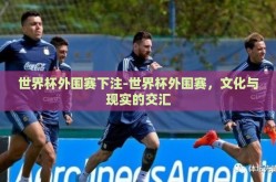 世界杯外围赛下注-世界杯外围赛，文化与现实的交汇