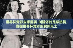 世界杯竞彩去哪里买-叫醒您的足球热情，发掘世界杯竞彩购买新乐土