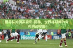 世界杯如何买竞彩-揭秘，世界杯期间的竞彩购买指南