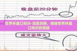 世界杯盘口知识-深度洞察，揭秘世界杯盘口知识的奥秘