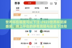 世界杯在哪里可以下注-2023世界杯足球盛宴，线上平台的体育竞猜与安全下注指南