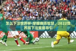 怎么下注世界杯-掌握赛场智慧，2022世界杯下注策略导引