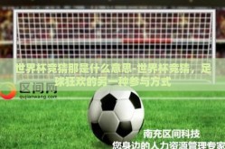 世界杯竞猜那是什么意思-世界杯竞猜，足球狂欢的另一种参与方式